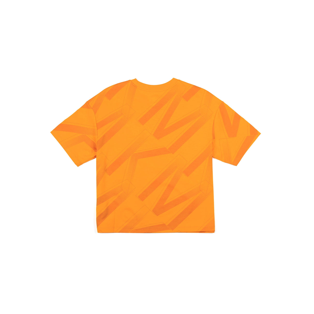 Ladies T-Shirt