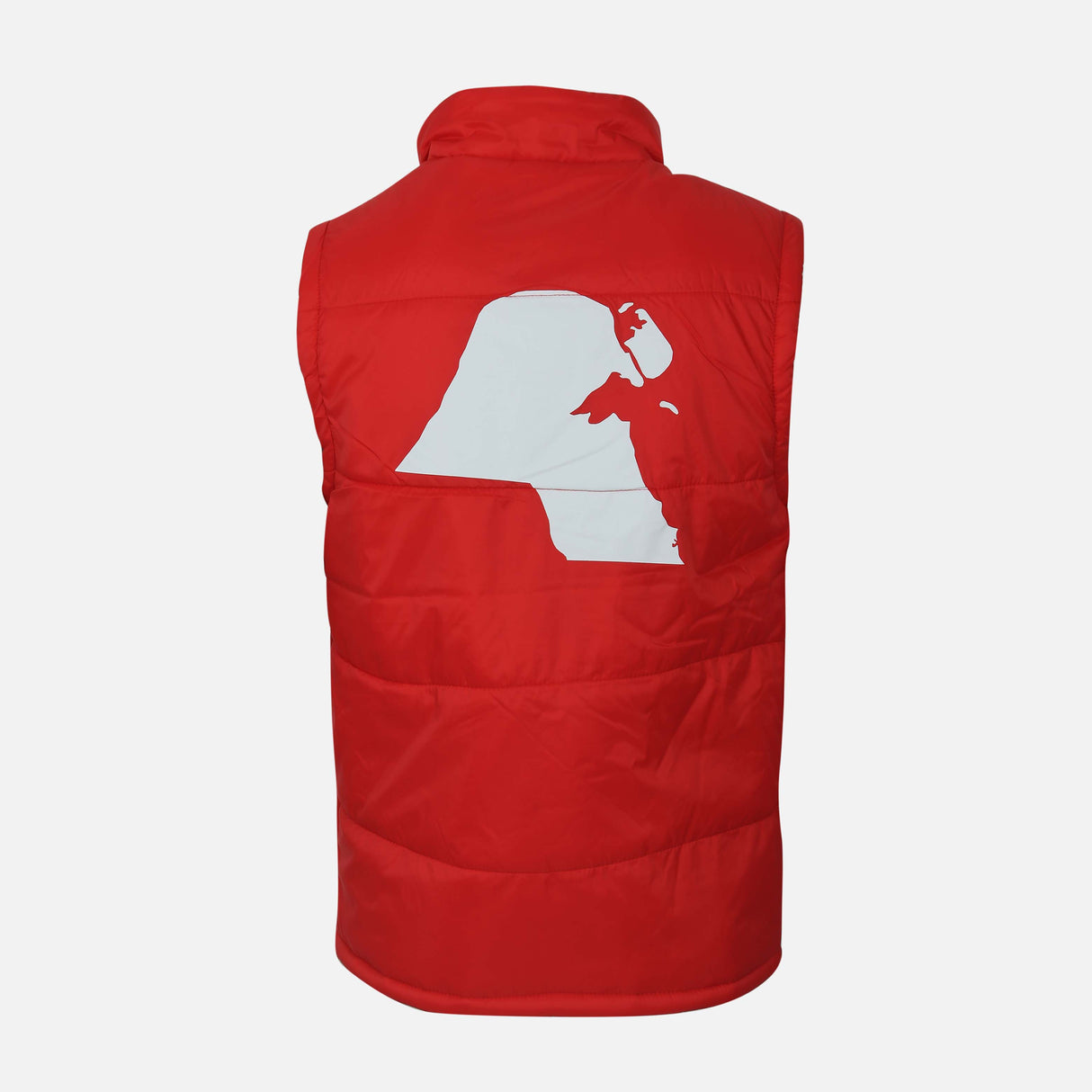 فيست ولادي هلا فبراير