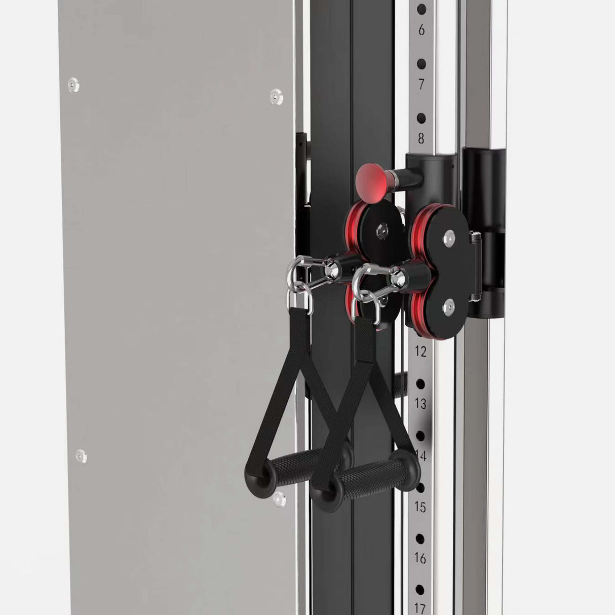 معدات التمارين