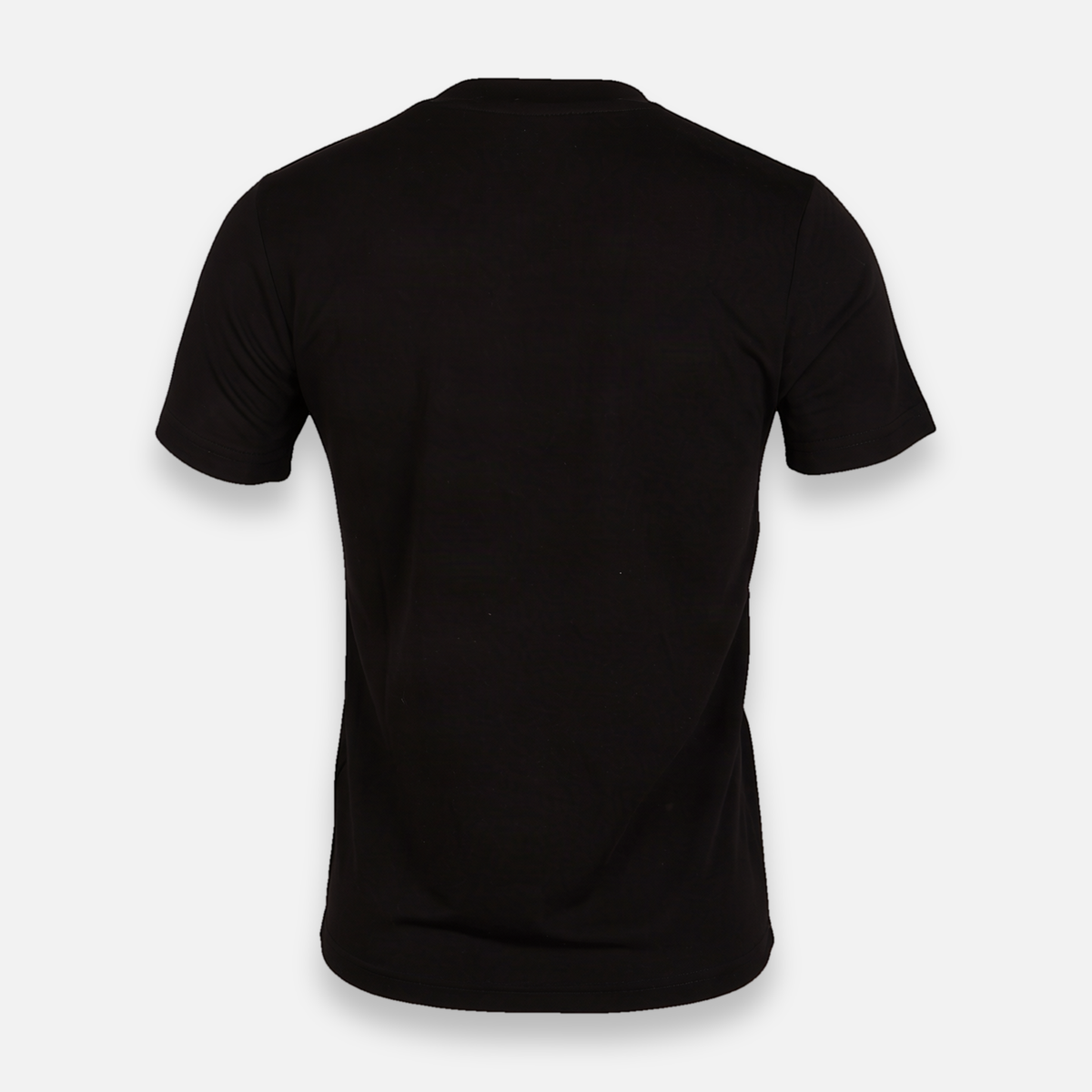 Women Basic Modal Blend Scoop Neck T-Shirt