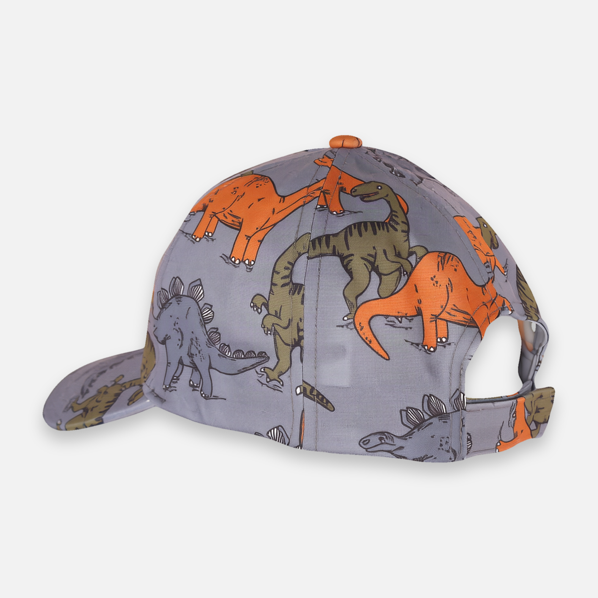 Boys Dinosaur Print Cap