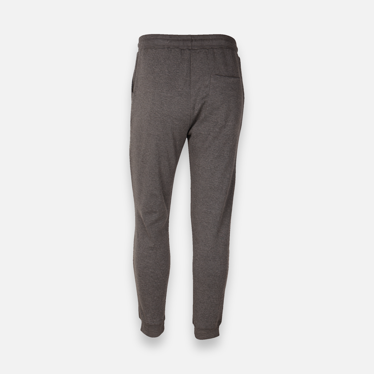 Men Basic Solid Jogging Pants Regular Fit