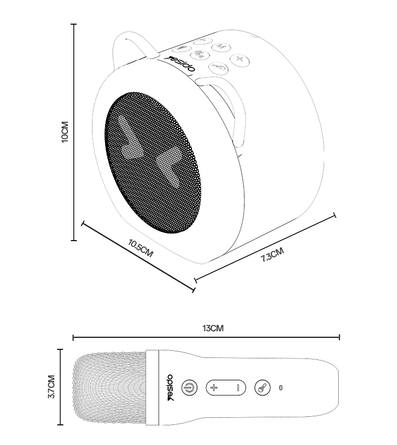Karaoke Speaker + Dual Mics