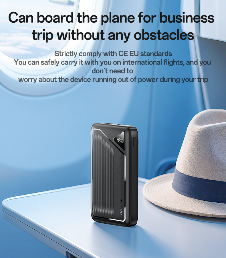 Power Bank + Cables 22.5W 10000 mAh