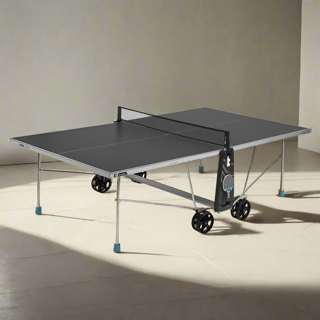 طاولة تنس الطاولة