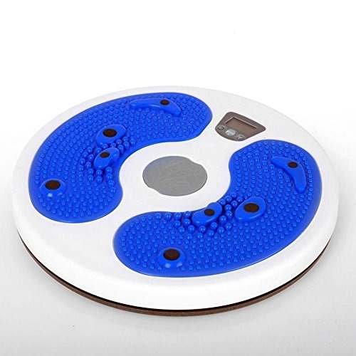 DIGITAL WAIST TWISTER