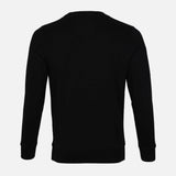 MEN REGULAR FIT PULLOVER ROUND NECK