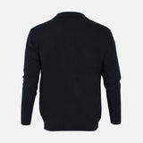 MEN BASIC SWEATER POLO