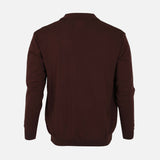 MEN BASIC SWEATER POLO