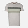 MEN T-SHIRT ROUND NECK