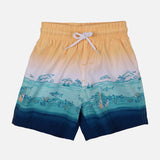 Boy Beach Shorts