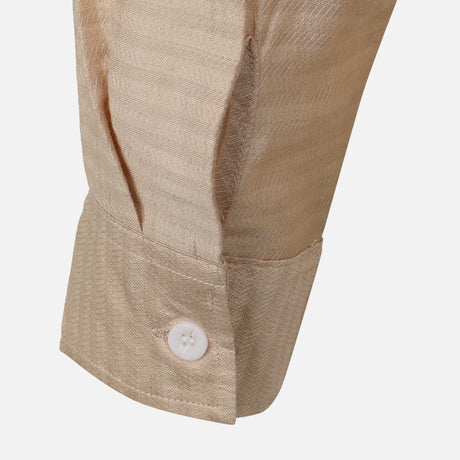 Men Woven Long Sleeve Plain Shirt