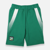Al-Arabi Sc Boys Teens Short