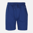 Men Slim Fit Jogging Shorts