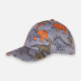 Boys Dinosaur Print Cap