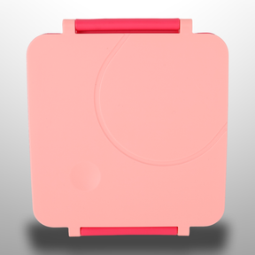 Kids Lunch Box with Secure Clip Closure
