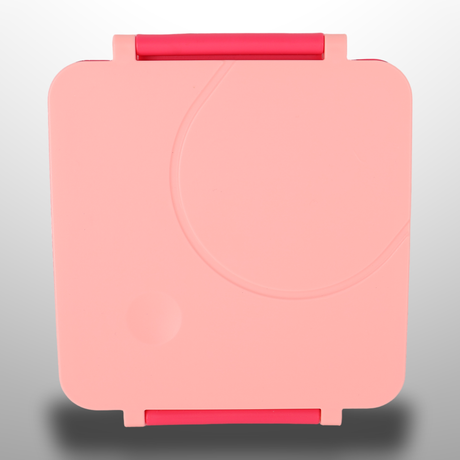Kids Lunch Box with Secure Clip Closure