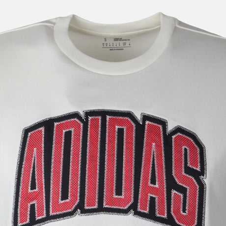 Men Stadium Collegiate T-Shirt