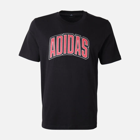 Men Stadium Collegiate T-Shirt