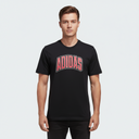 Men Stadium Collegiate T-Shirt