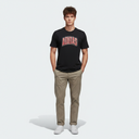 Men Stadium Collegiate T-Shirt