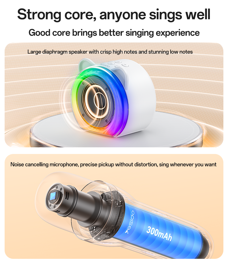Karaoke Speaker + Dual Mics