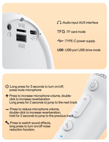 Karaoke Speaker + Dual Mics