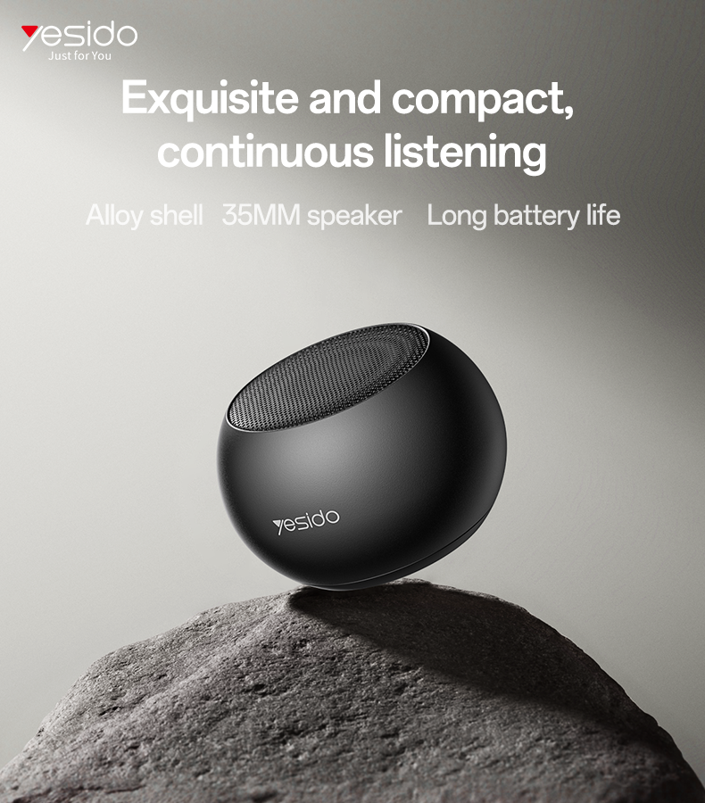 Aluminum Alloy Speaker