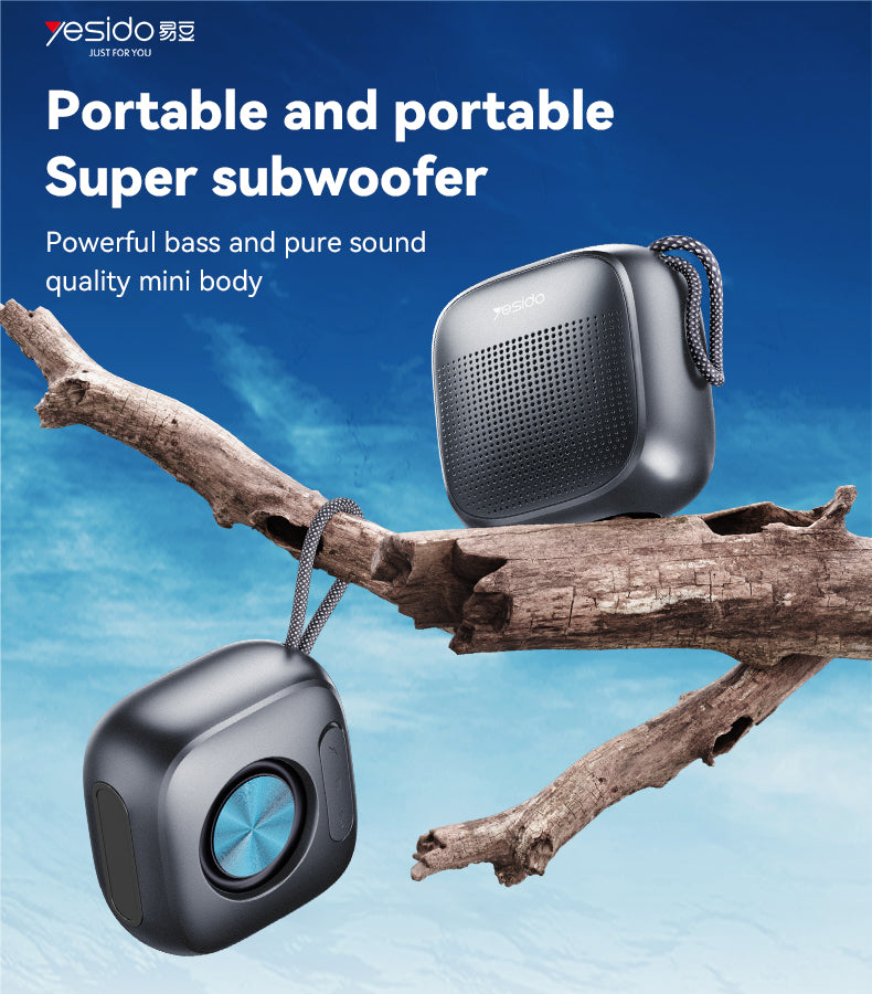 Mini Speaker V5.3
