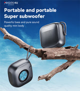 Mini Speaker V5.3