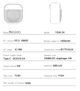 Mini Speaker V5.3