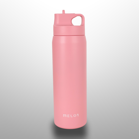 Stainless Steel Water Bottle 750 Ml