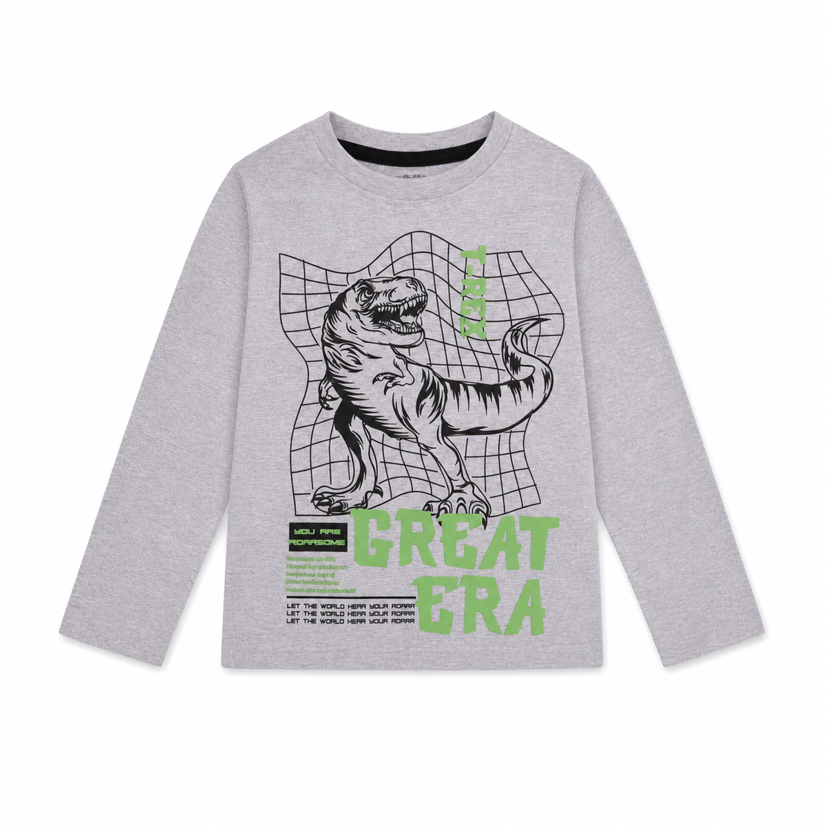 Boys Graphic Long Sleeve T-Shirt