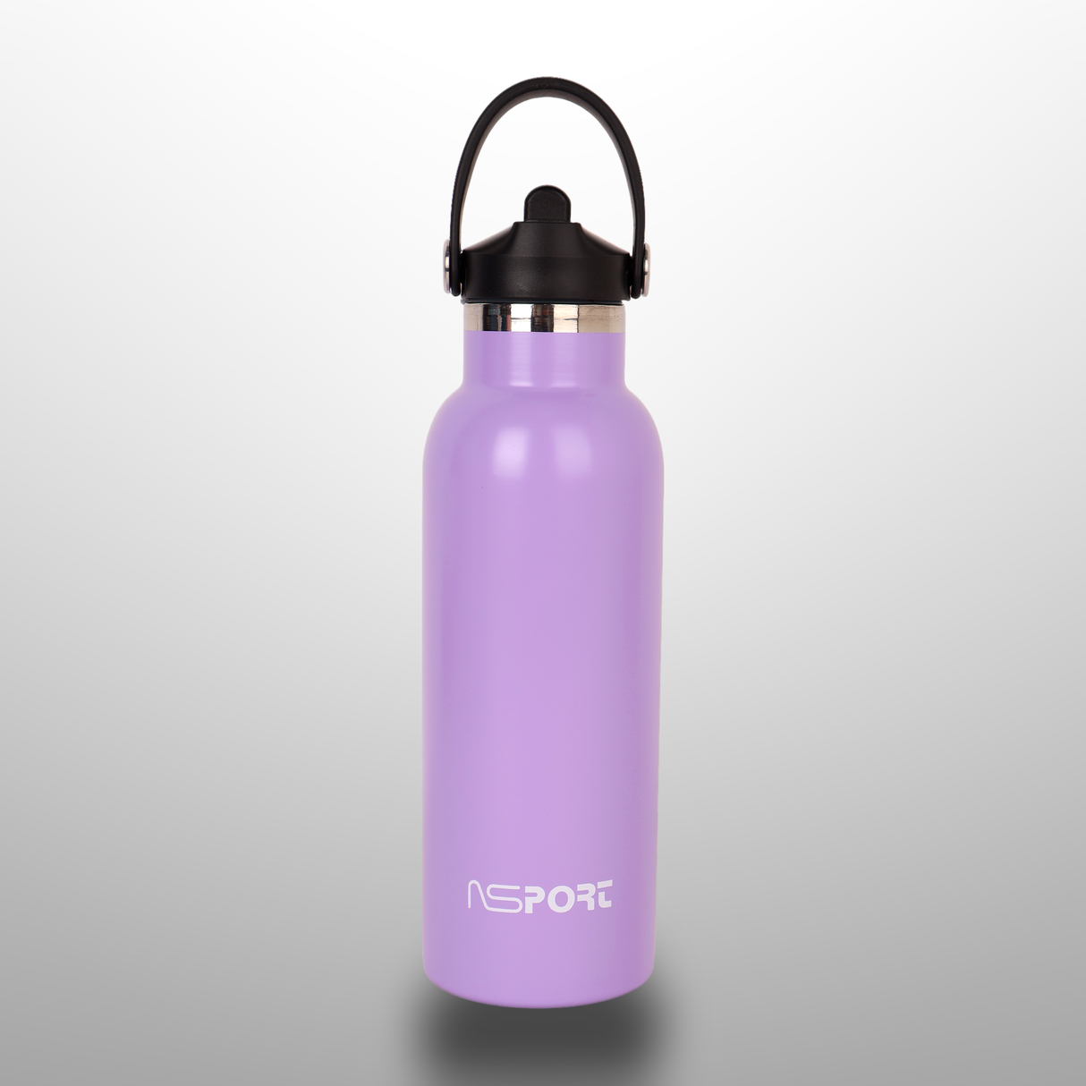 Stainless Steel Water Bottle 500Ml