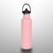 Stainless Steel Water Bottle 750Ml