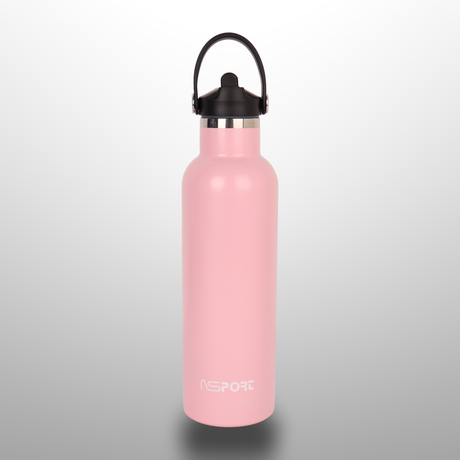 Stainless Steel Water Bottle 750Ml
