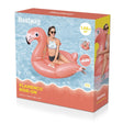 FLAMENCO RIDE-ON (3Y)