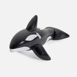 Jumbo Whale Ride-On (+3Y)