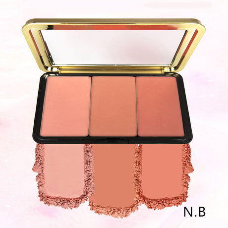 3 COLOR BLUSHER KIT