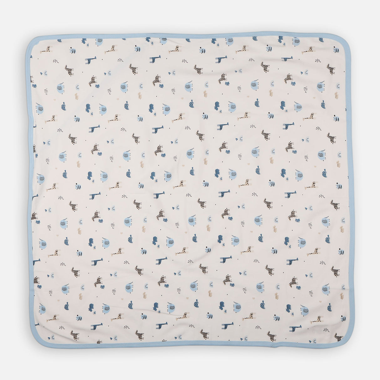 Boys Hooded Blanket