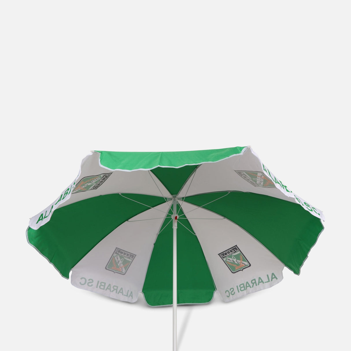 Beach Umbrella