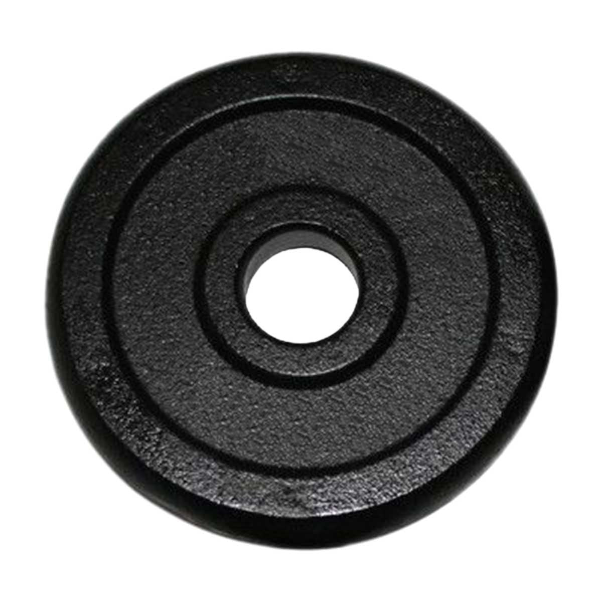 BLACK PAINTED WEIGHT PLATE